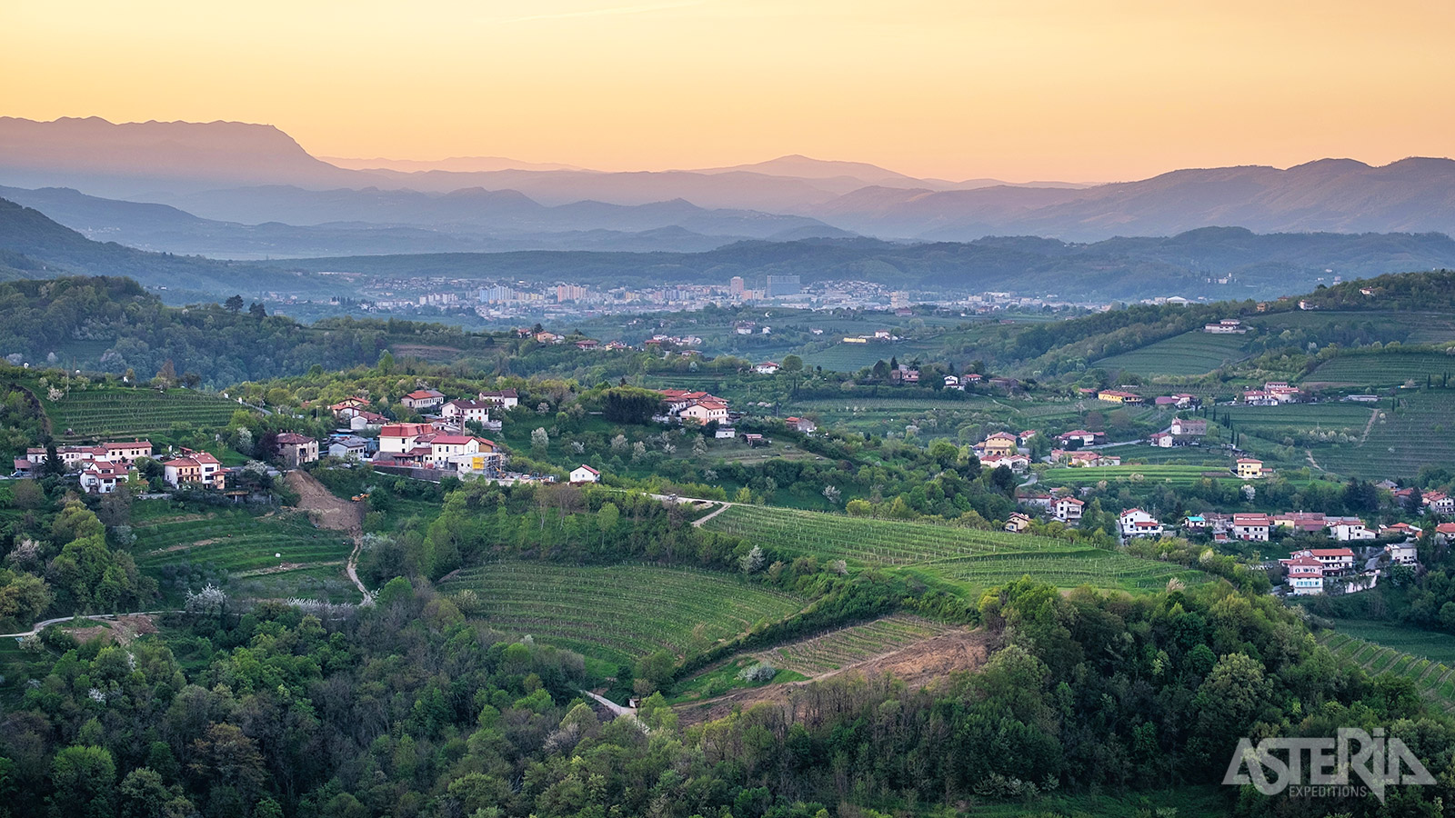 De Vipava-vallei rond Nova Gorica staat bekend voor sommige van de beste natuurlijke wijnen ter wereld