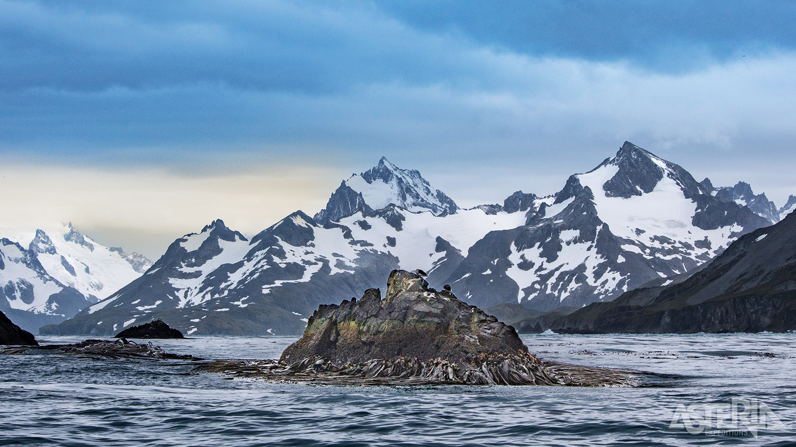 Cooper Bay biedt spectaculaire zeezichten en de kans om pinguïns en zeevogels in hun natuurlijke habitat te zien