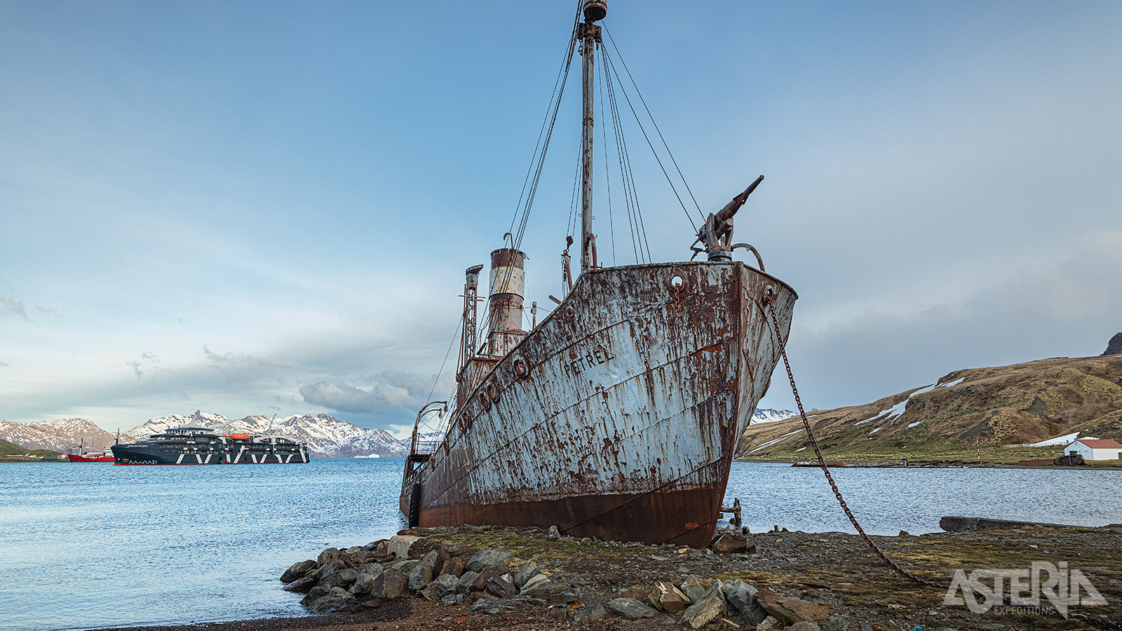 De Petrel, een stoomaangedreven walvisjager uit 1928, ligt gestrand in Grytviken en vertelt het verhaal van de walvisvaart rond South Georgia