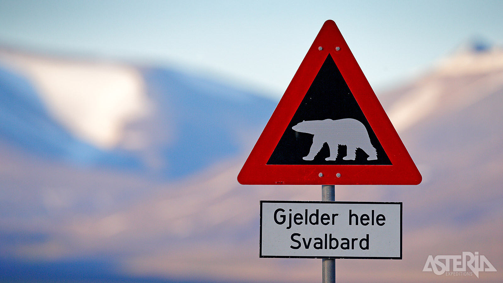 Het iconische ijsbeer-bord herinnert je dat in ijsbeergebied bent en steeds alert moet zijn