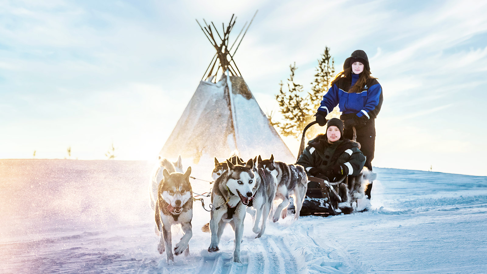 Voor velen een hoogtepunt van de reis: een safari met de husky’s