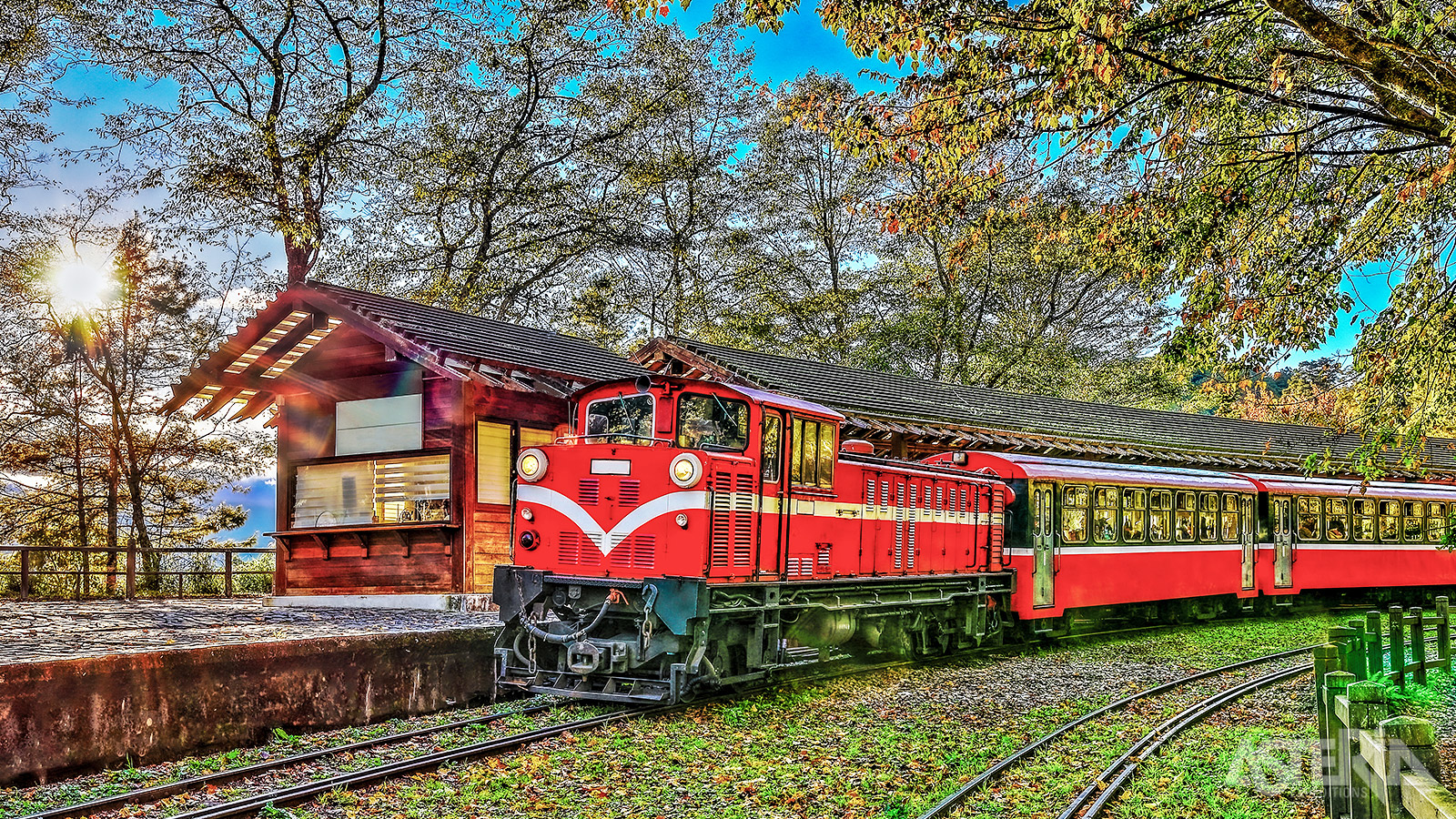 De Alishan Forestry Train biedt een nostalgische en schilderachtige treinrit door één van Taiwan’s mooiste berggebieden