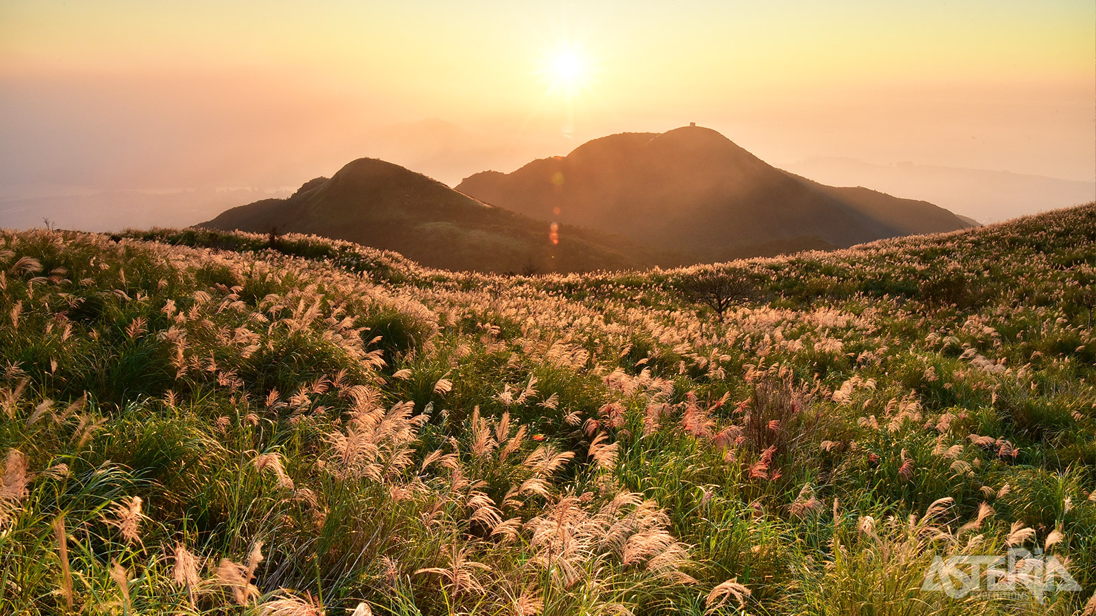 Yangmingshan is een groot nationaal park met glooiende heuvels en landschappen van wereldklasse