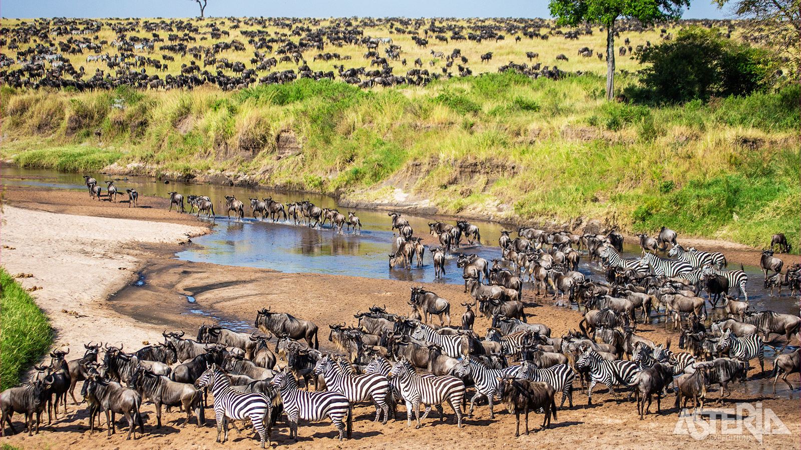 Je beleeft een onvergetelijk safarimoment tijdens de Grote Trek