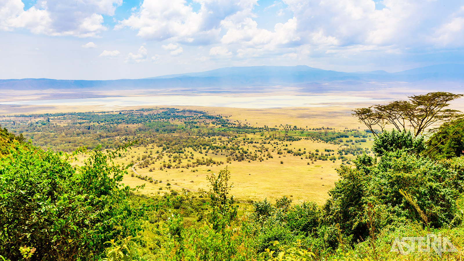 De Ngorongoro-krater vormt een afgesloten ecosysteem met een uitzonderlijke concentratie wild