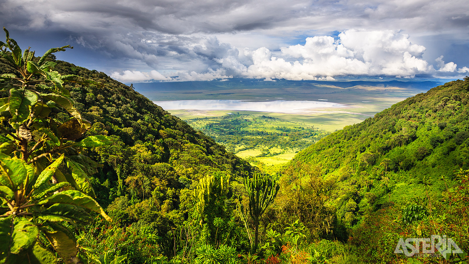 De Ngorongoro-krater vormt een afgesloten ecosysteem met een uitzonderlijke concentratie wild