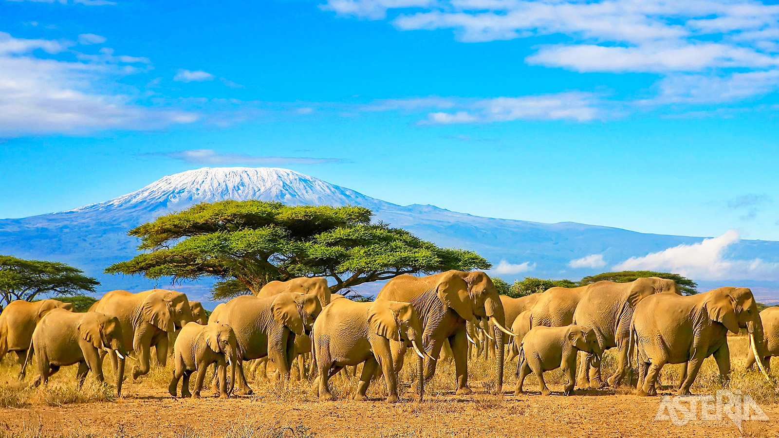 De majestueuze Kilimanjaro is met 5.895m de hoogste berg van Afrika