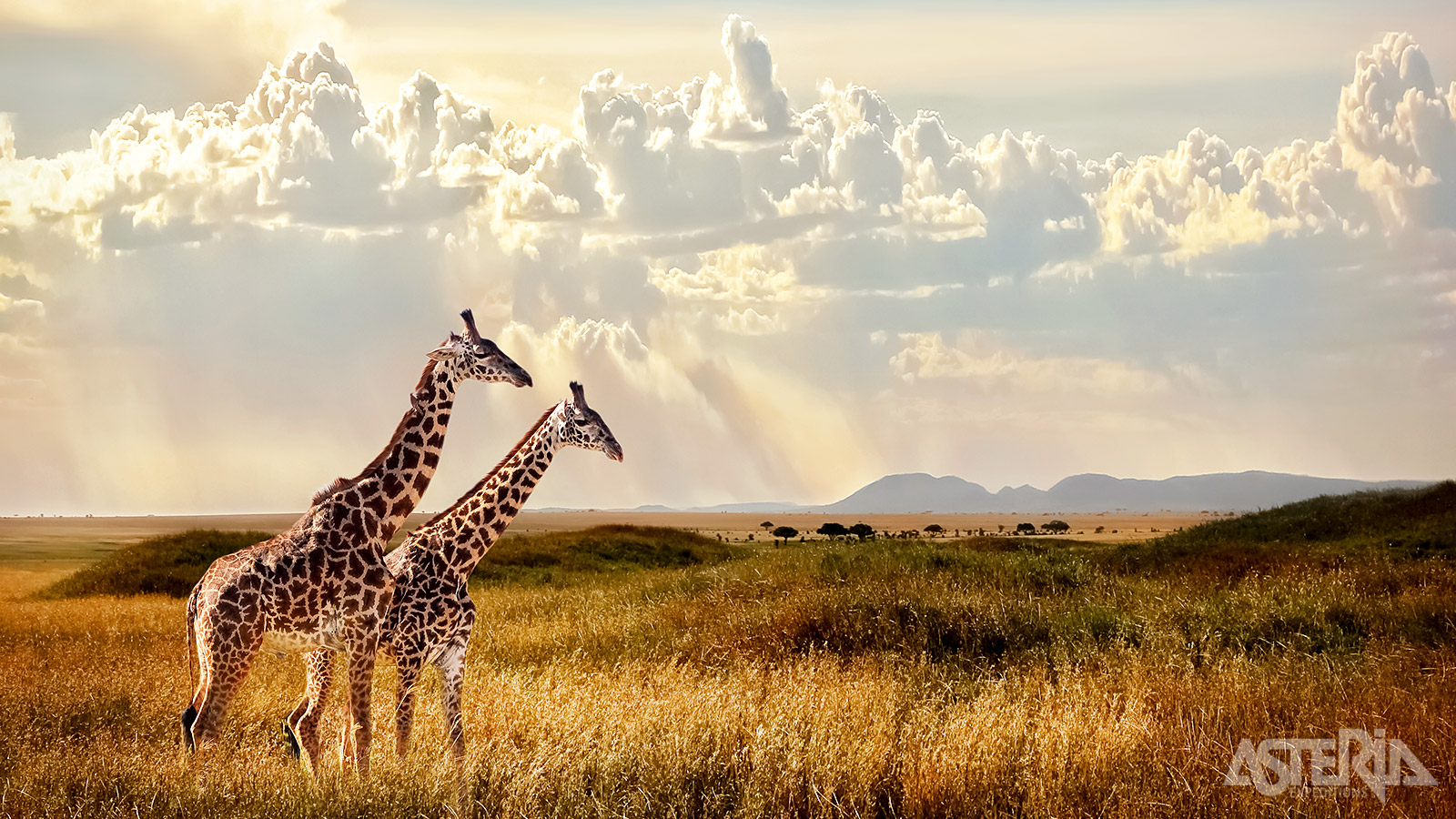 Dankzij de prachtige en unieke natuur is het Serengeti Nationaal Park uitgeroepen tot onderdeel van de Unesco World Heritage List