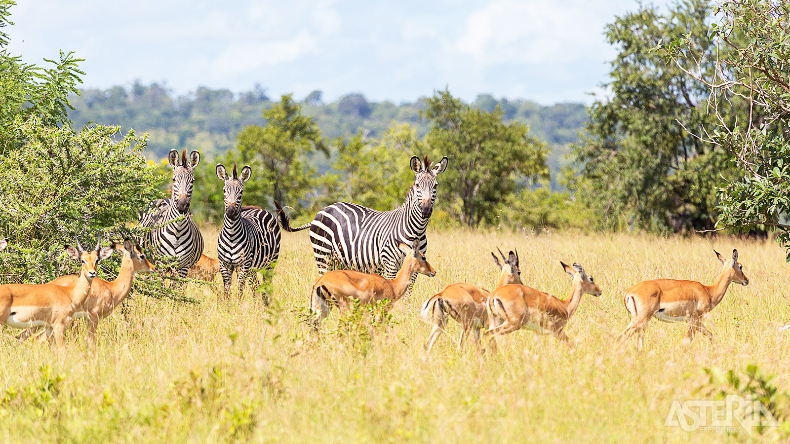 Hoewel minder bekend dan de Serengeti en het Kruger Park, mag het Selous Game Reserve zich het grootste wildreservaat van Afrika noemen