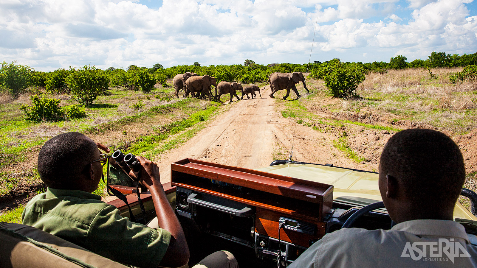 Gewapend met verrekijker en camera vertrek je elke ochtend en namiddag voor een game drive