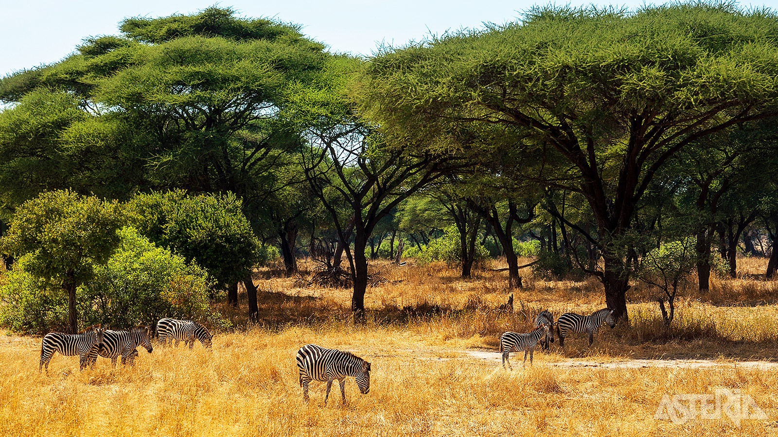 Het zuiden van Tanzania wordt veel minder bezocht dan de populaire safariparken in het noorden