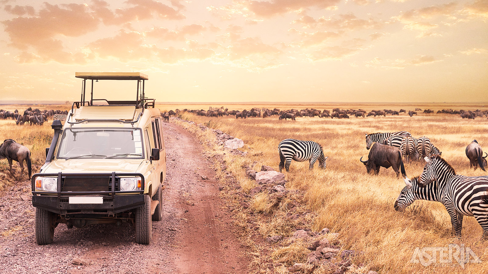 Deze crosscountry-safari met privégids/chaffeur laat je kennismaken met het mooiste van Tanzania