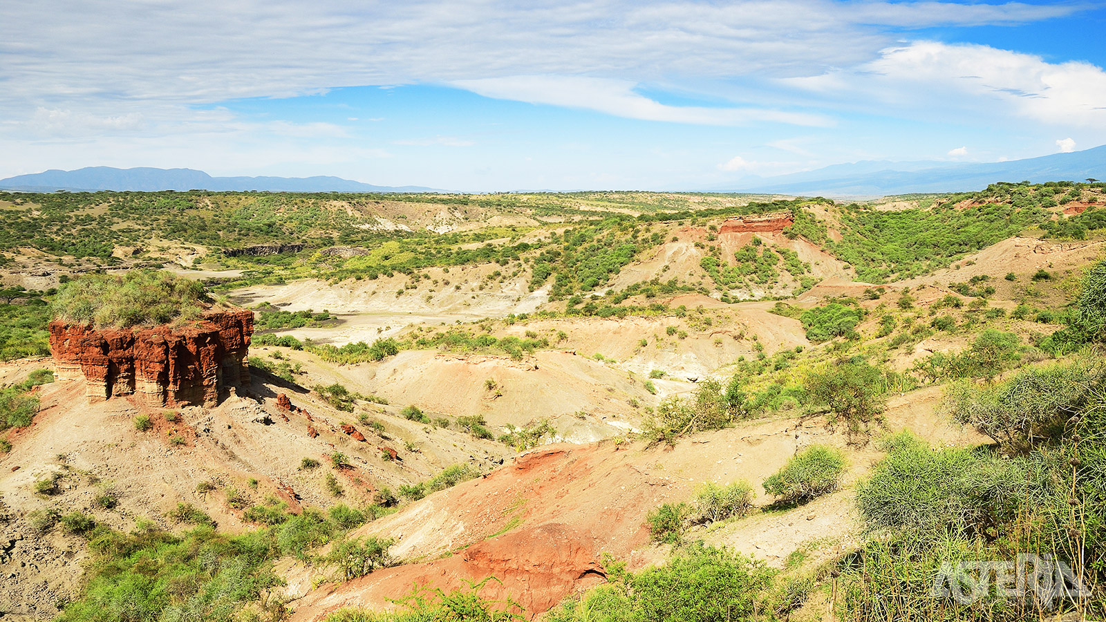 In 1972 werden in Olduvai Gorge voetstappen van mensen gevonden die dateren van 3,5 miljoen jaar geleden