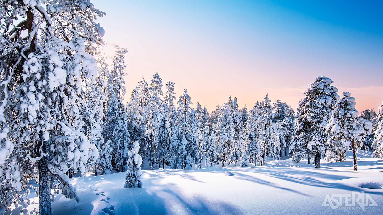 Geniet van mooie momenten in de natuur met diverse activiteiten zoals sneeuwschoenwandelen, ijsvissen en een rendiersledetocht