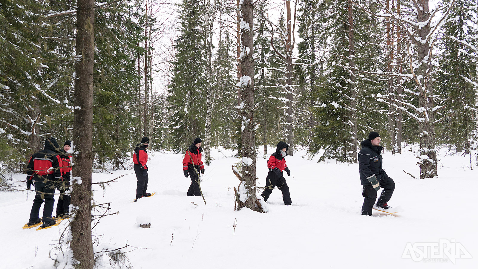 Sneeuwschoenwandelen, ideaal om de wondermooie omgeving rond je lodge te verkennen