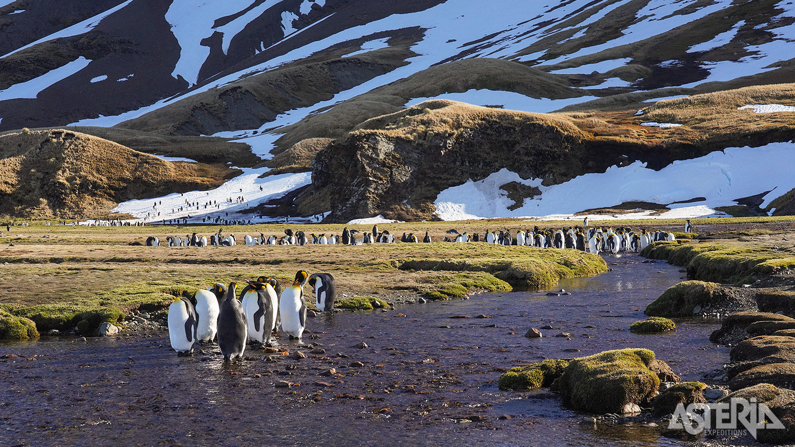 Fortuna Bay op South Georgia is zowel historisch als ecologisch één van de belangrijkste plekken