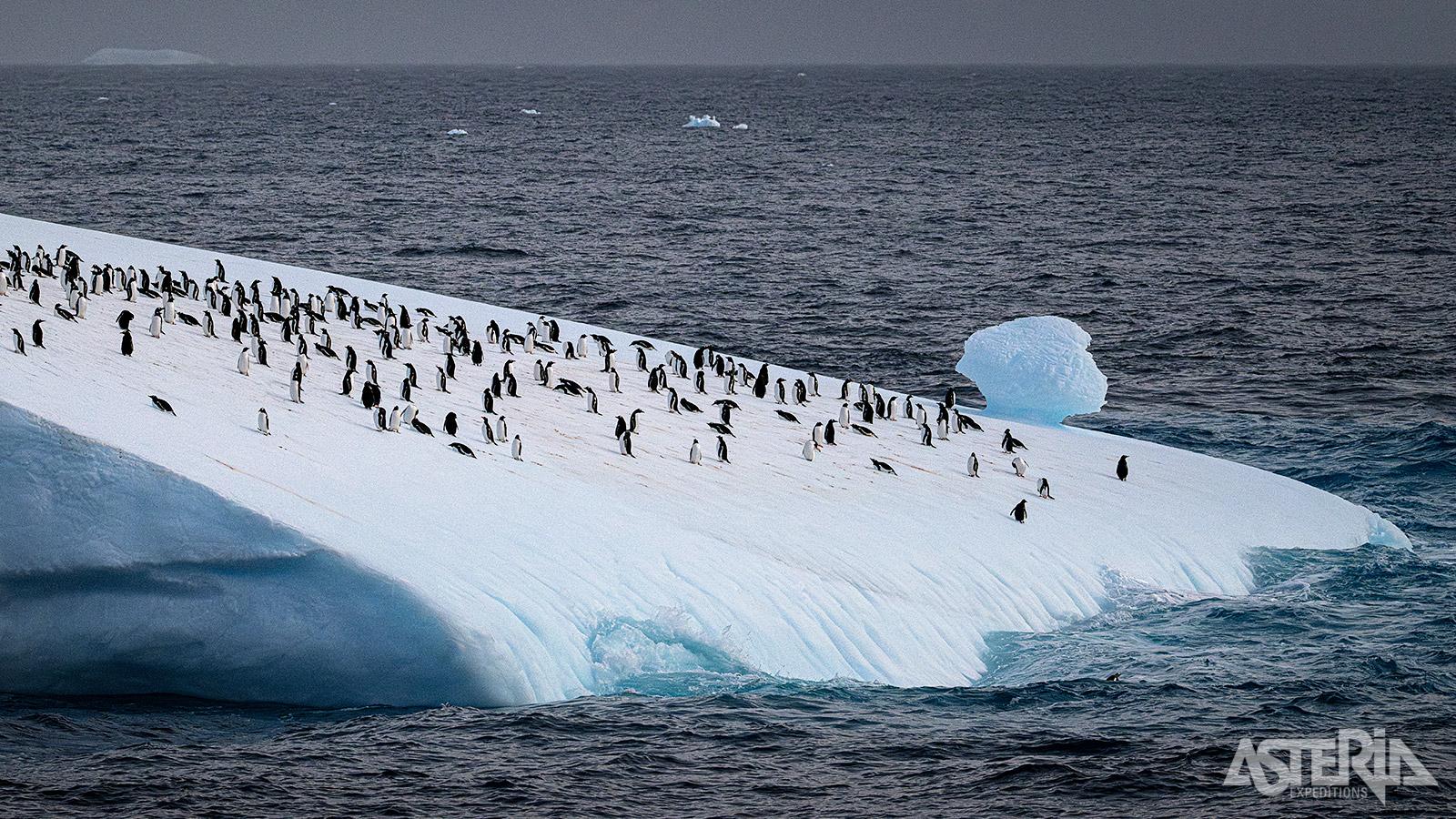 Naarmate je meer naar het zuiden vaart worden de ijsbergen groter