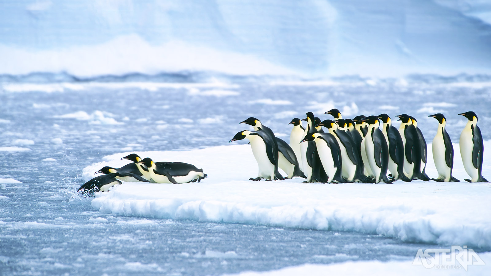 Eentje neemt het initiatief en meestal volgt de rest...