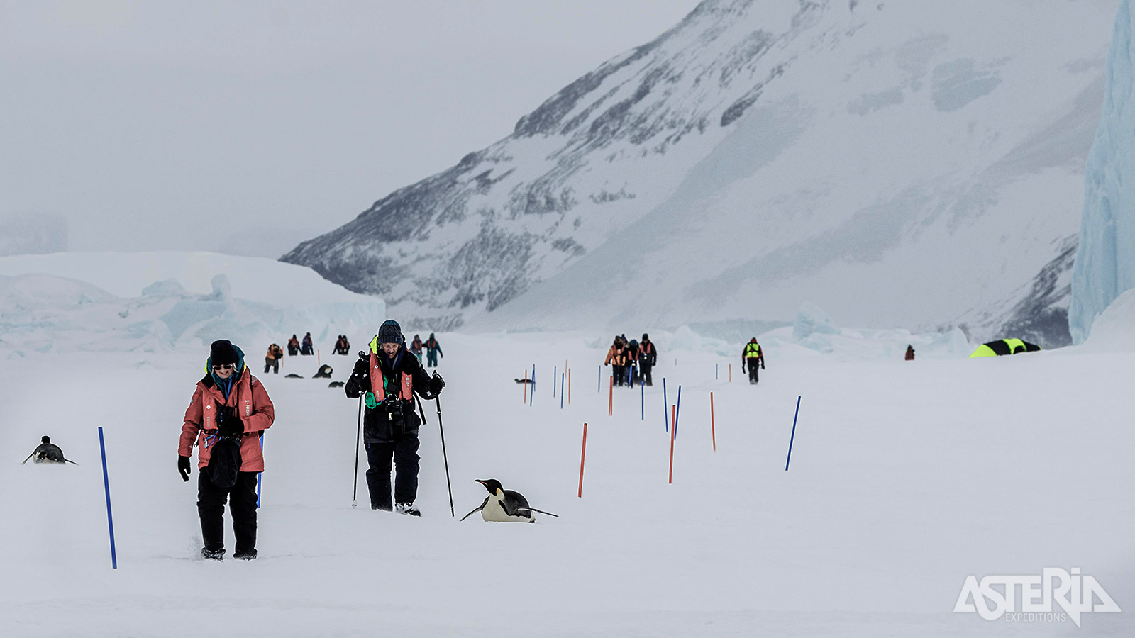 Het eiland werd op 6 januari 1843 ontdekt door een Brits expeditieteam onder leiding van James Clark Ross