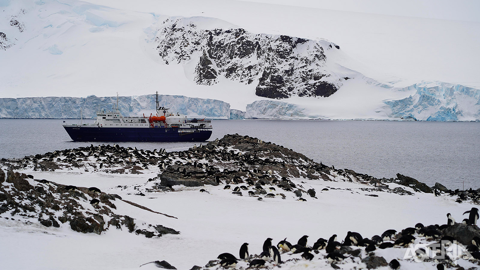 Voor het varen in de Weddellzee is een ijsbreker met versterkte boeg en romp vereist zoals MV Ortelius