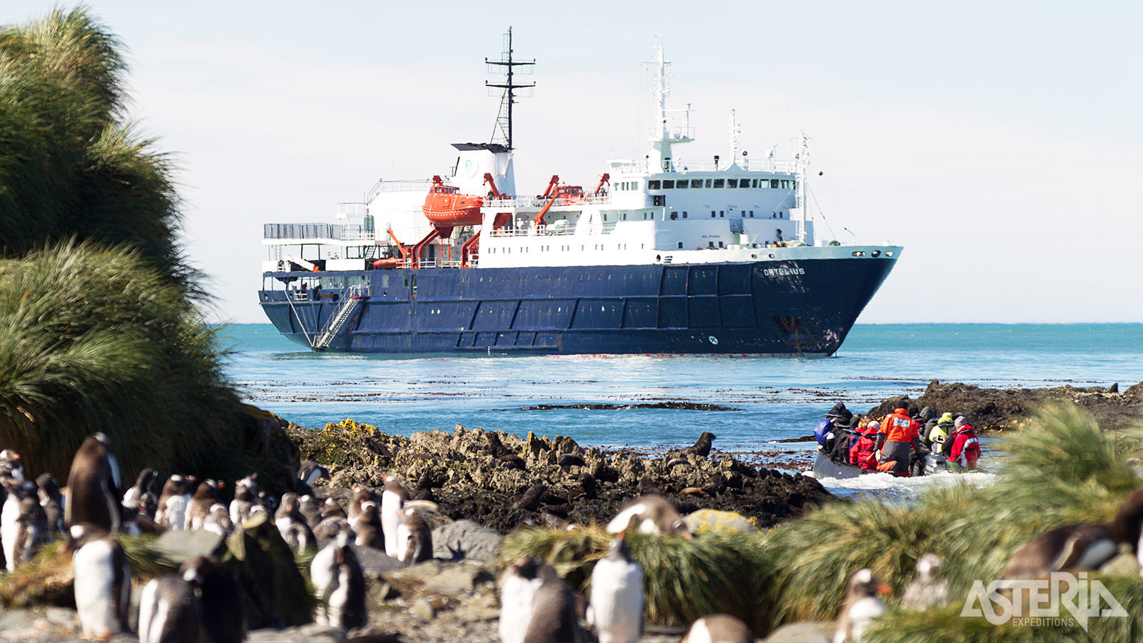 Het avontuur begint op South Georgia, waar je het spoor van Ernest Shackleton volgt