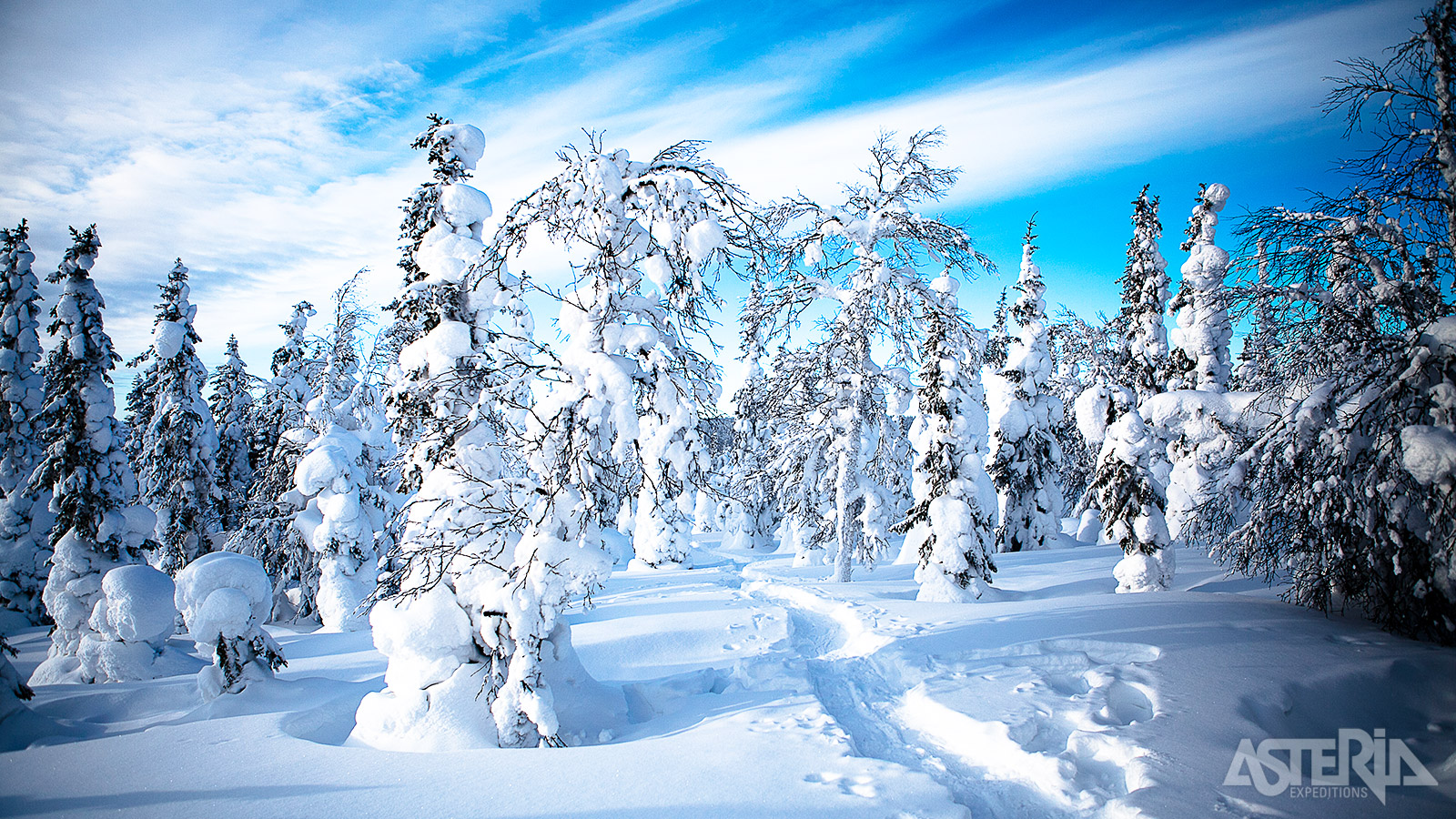 Geniet van de betoverende sneeuwlandschappen