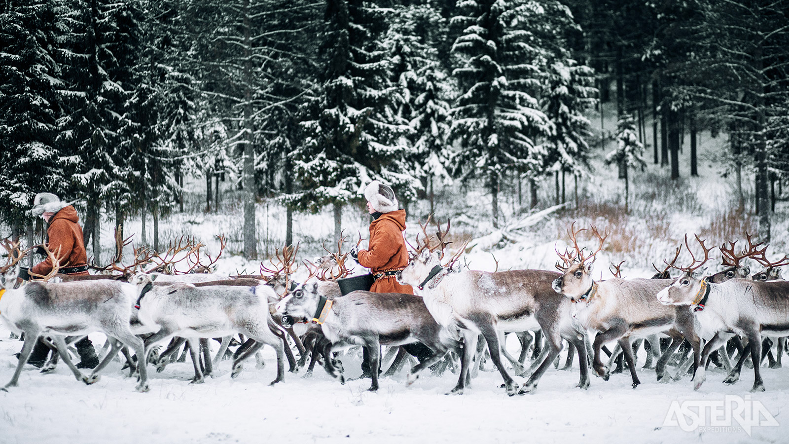 Op de boerderij krijg je meer inzicht in de relatie tussen de Sámi en hun rendieren