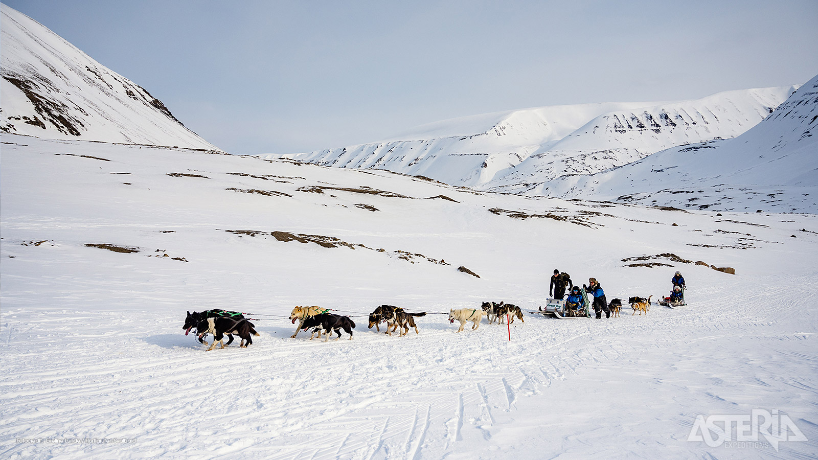 Gletsjers, sneeuwvlaktes, bergen en fjorden passeren terwijl je door de stilte van de Arctische natuur glijdt