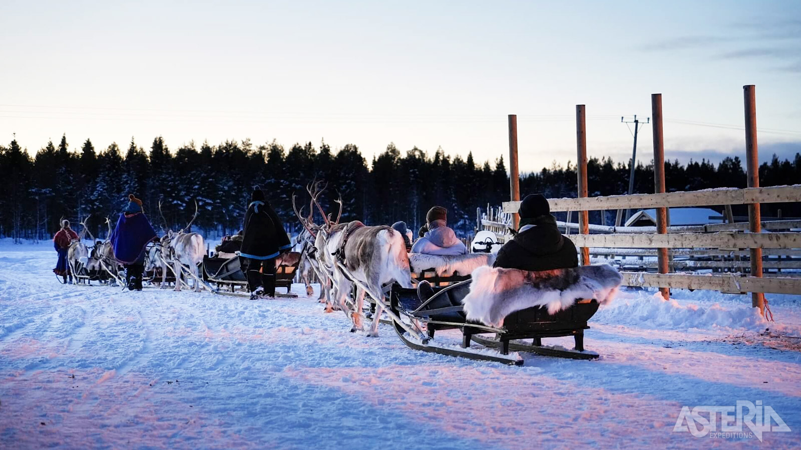 Tijdens een bezoek aan een rendierboerderij maak je ook een tochtje met een rendierslede