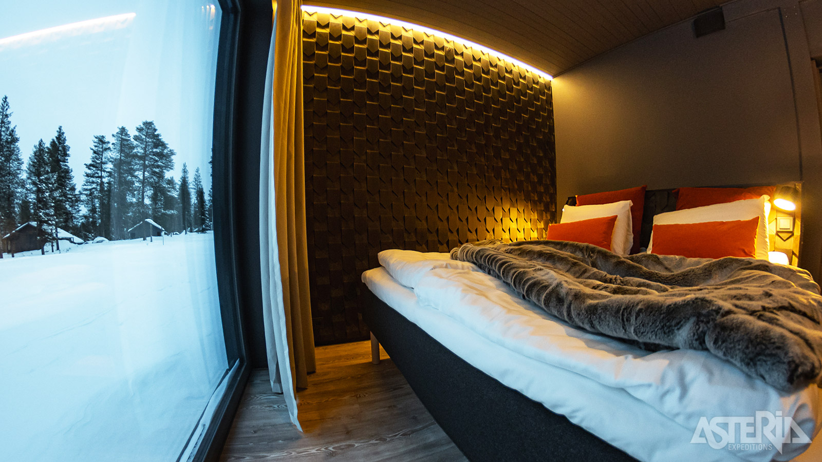 Vanuit je bed heb je zicht op de nachtelijke sterrenhemel