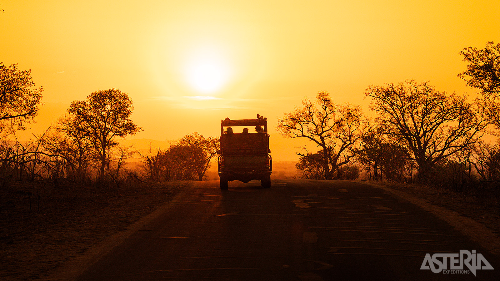 In de privéreservaten zijn de wegen niet geasfalteerd en kan je offroad rijden, waardoor je de dieren dicht kan naderen