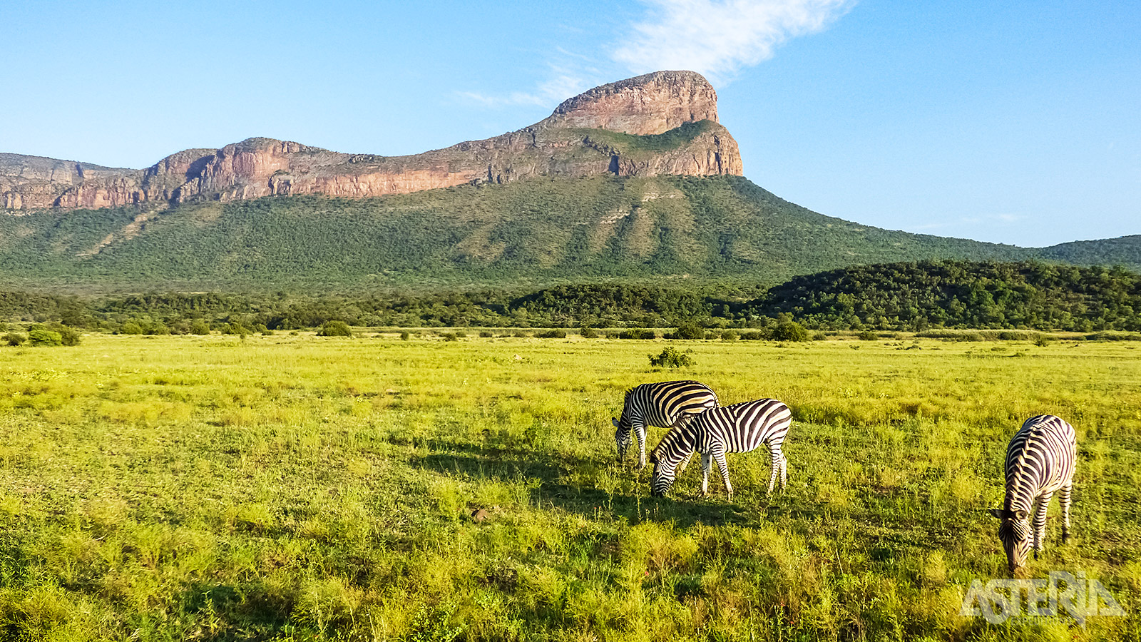 In het hoger gelegen deel van het Entabeni Game Reserve bevinden zich fraaie rotsformaties en een open grasvlakte