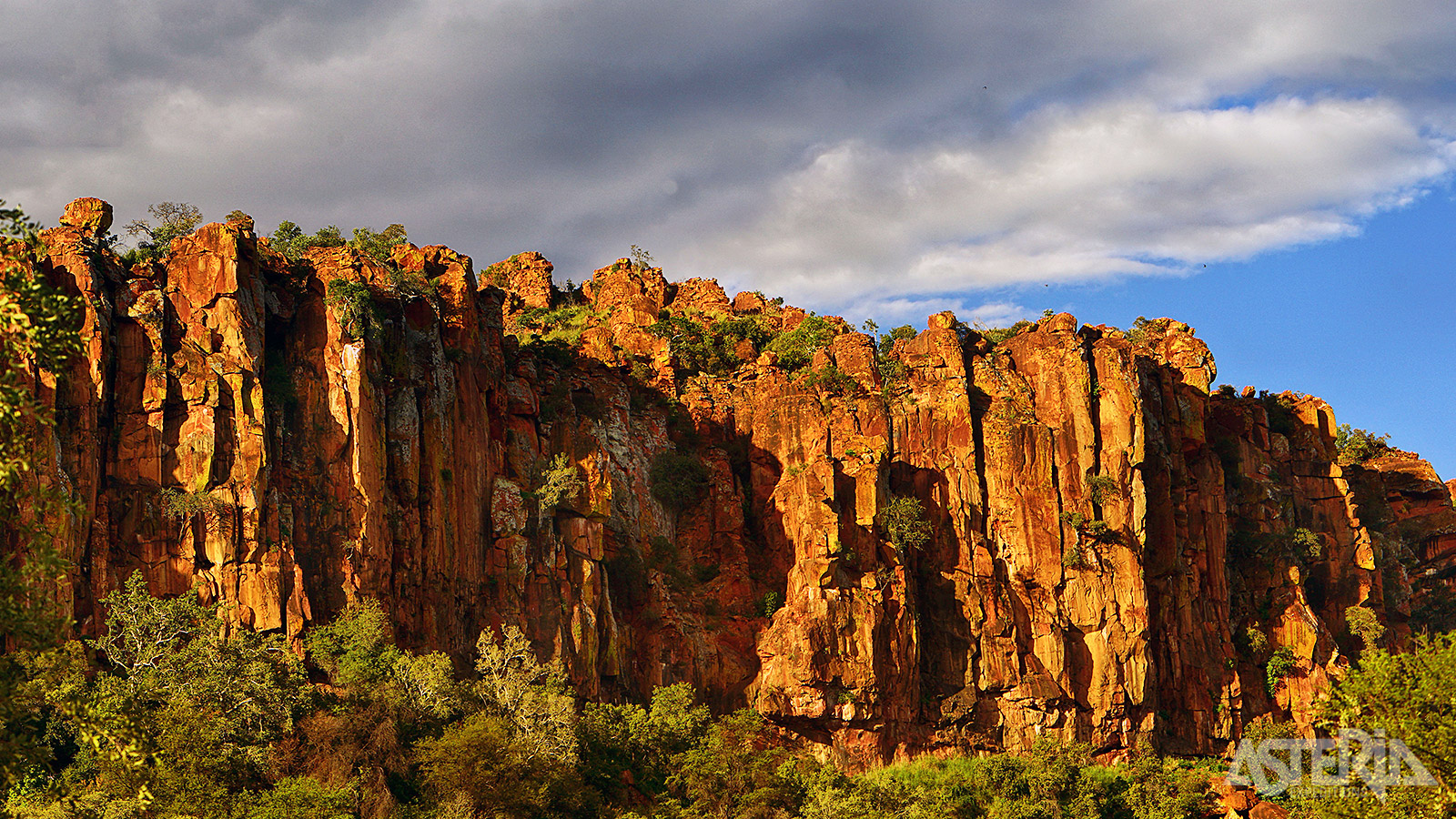 Waterberg is zo mooi en het landschap is zo divers, dat deze regio soms het best bewaarde geheim van Zuid-Afrika wordt genoemd