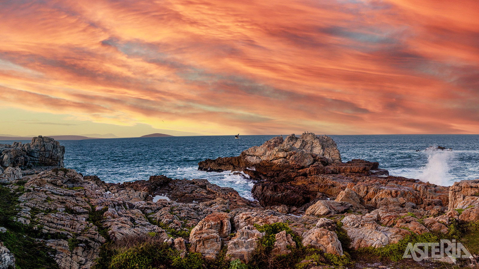 In het gebied rondom Hermanus kan je van juni tot november vanaf de kust walvissen spotten