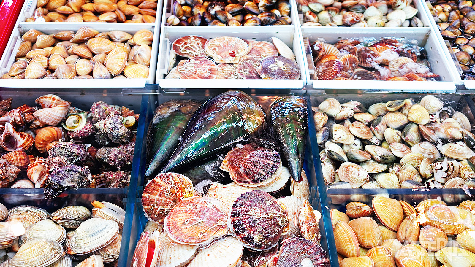 Op de beroemde Jagalchi Fish Market ben je getuige van een fascinerend schouwspel van vissers en handelaars