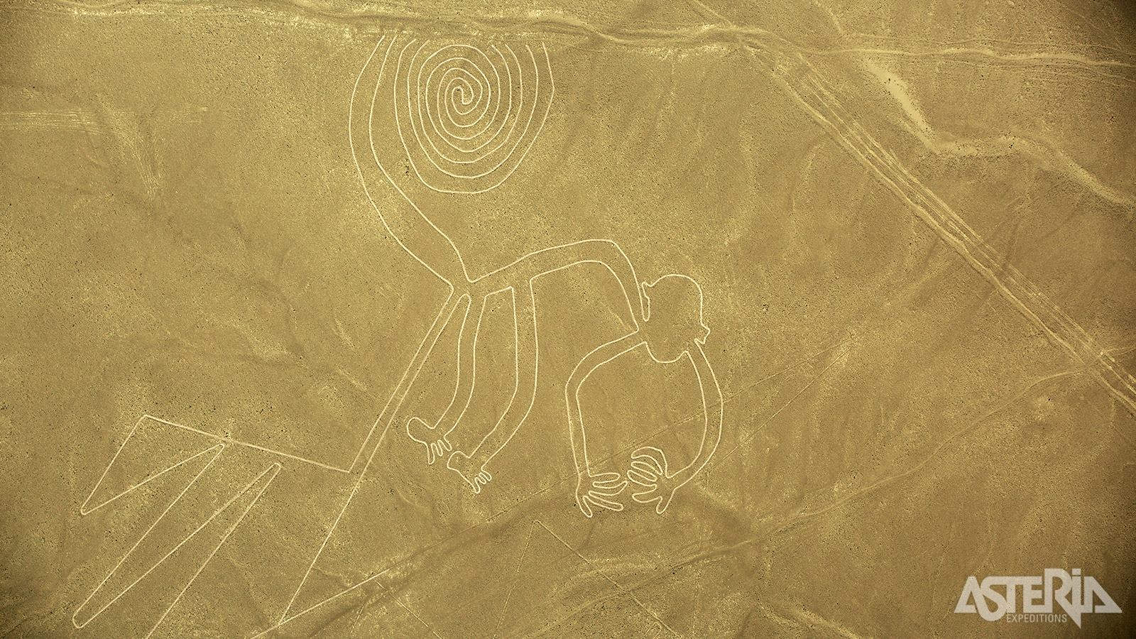 De Nazca-lijnen, eeuwenoude geogliefen die enkel vanuit de lucht hun geheim onthullen